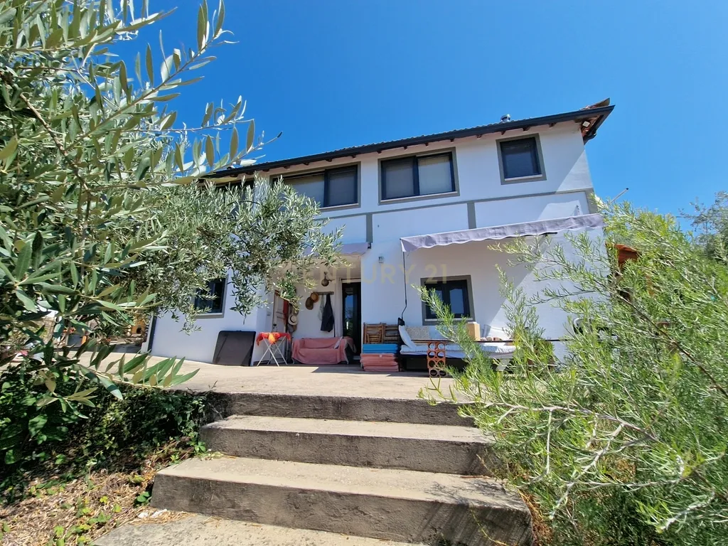 Encantadora propriedade rural | Oportunidade única de investimento - Olalhas, Tomar - Image 37