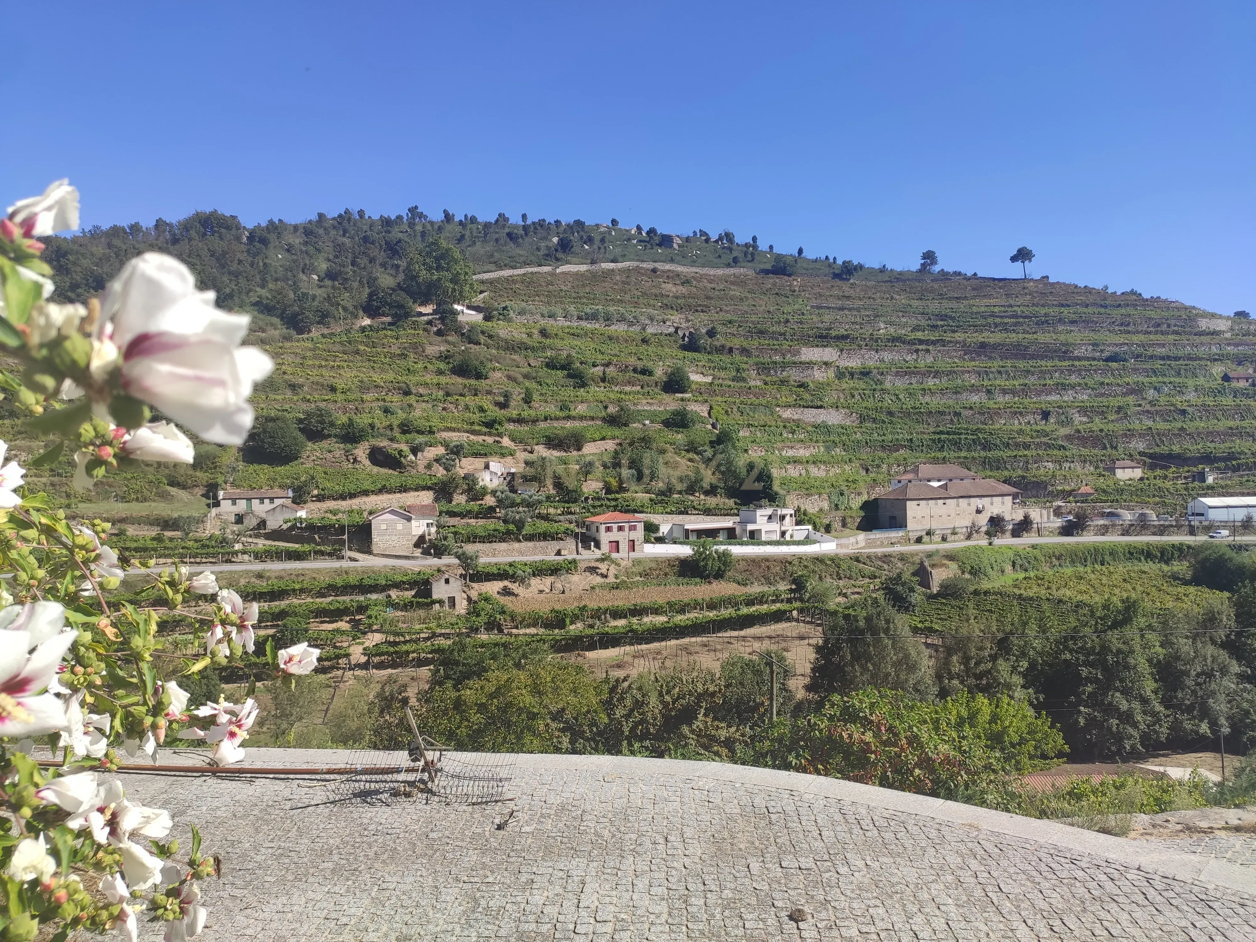 Moradia T3 à venda em Loivos da Ribeira e Tresouras, Baião — foto 34