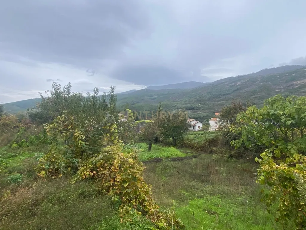 Terreno em Cortes do Meio - Covilhã - Image 3