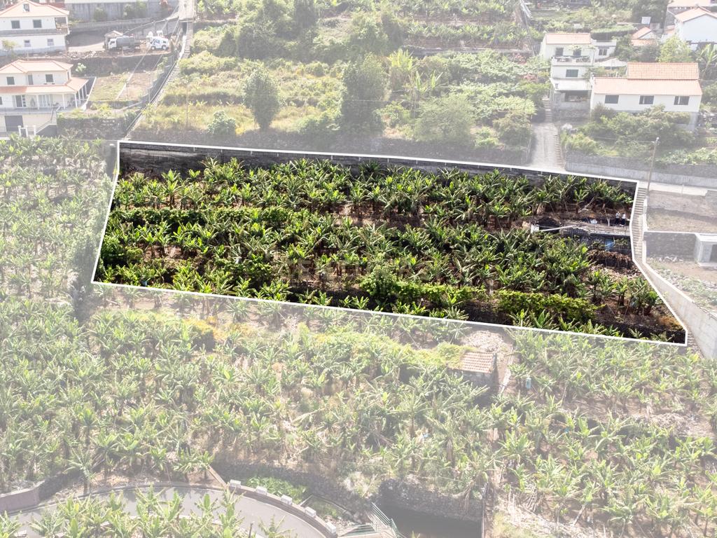 Terreno para construção 1946m2 - Arco da Calheta - Image 9