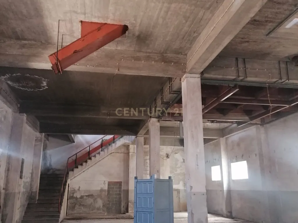 Armazém (565 m2 ) em pleno centro habitacional na Vidigueira para usar ou transformar! - Image 3