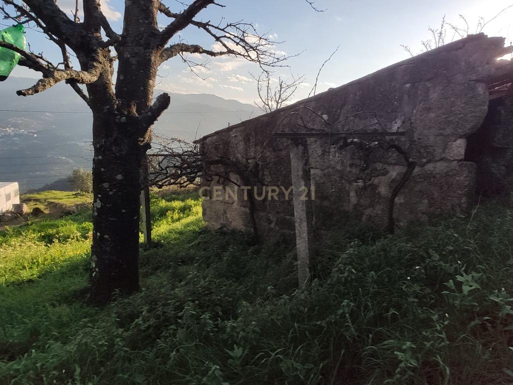 Terreno com casinha e vista para o rio Douro, em S. Tomé de Covelas, Baião para projeto agrícola - Image 83