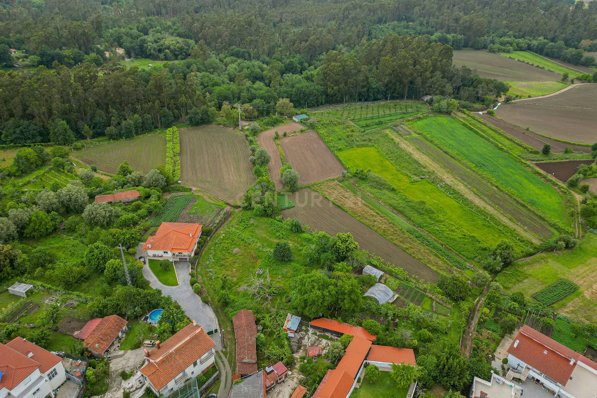 Fotografia 9 de Casa Antiga com Vista Campestre em Aguiar, Barcelos