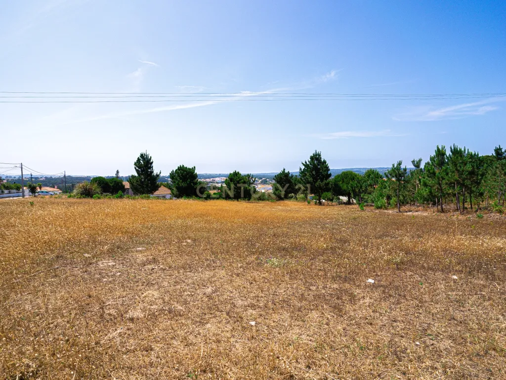 Terreno 4 910m2 | Nadadouro | Caldas da Rainha - Image 2