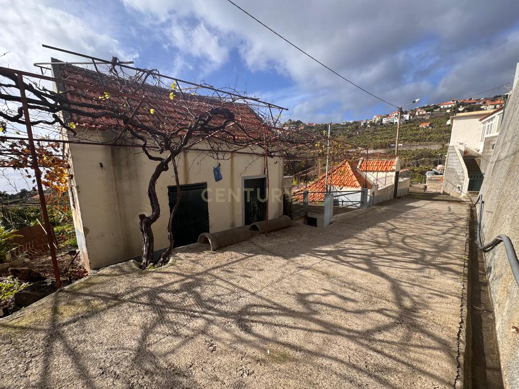 Terreno Amplo com Moradia Tradicional e Palheiro - Ponta do Sol - Image 16