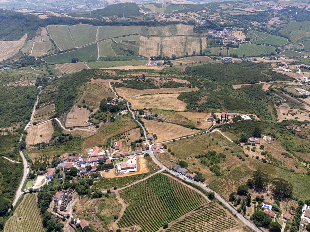 Oportunidade Única de Investimento em Terreno com Potencial Agrícola e Urbanizável – Canhestro 14.960 m². - Image 6