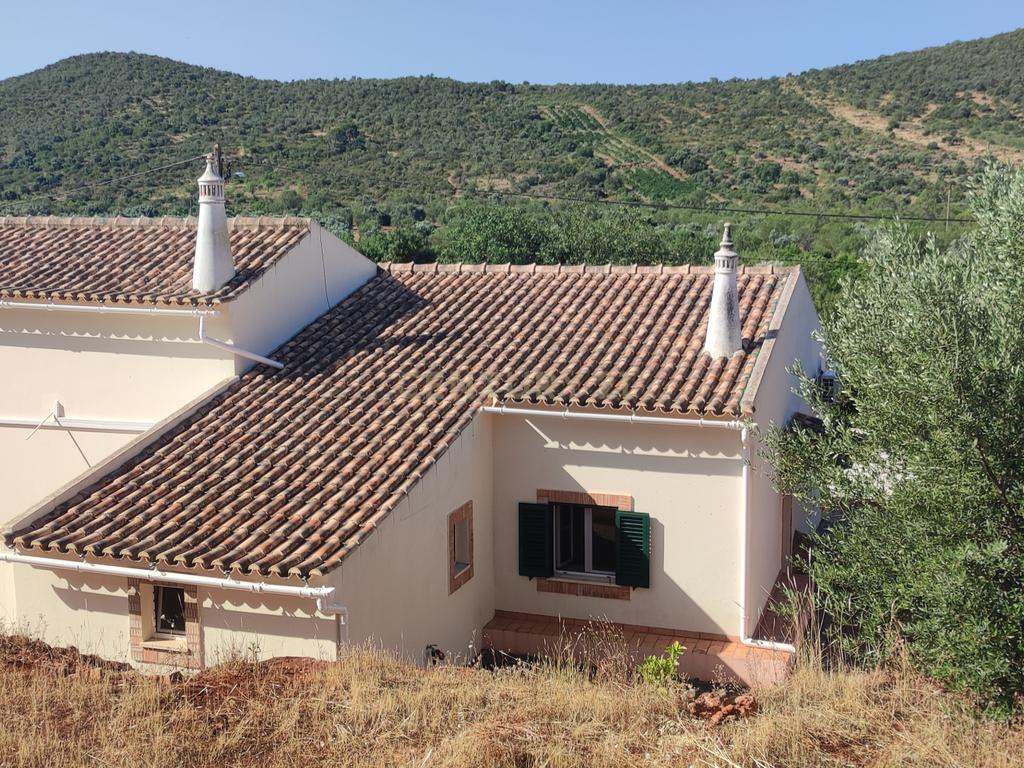 Quinta encantadora com potencial de expansão perto de Albufeira - Image 39
