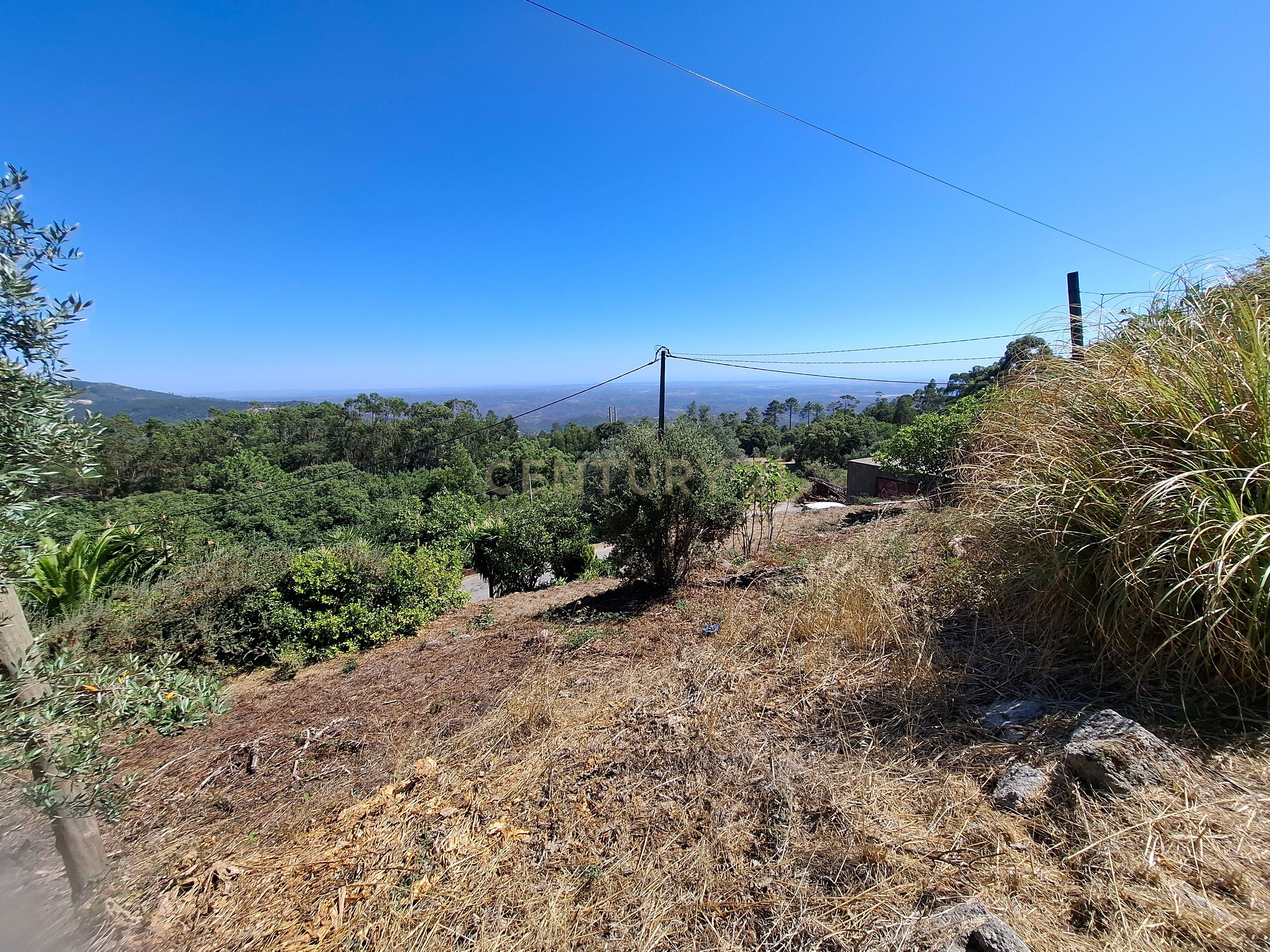 Fotografia 7 de OPORTUNIDADE - REFÚGIO PERFEITO EM MONCHIQUE: QUINTA COM 1,2 HECTARES COM VISTA DESLUMBRANTE PARA SUL E COM UM POTENCIAL UNICO.