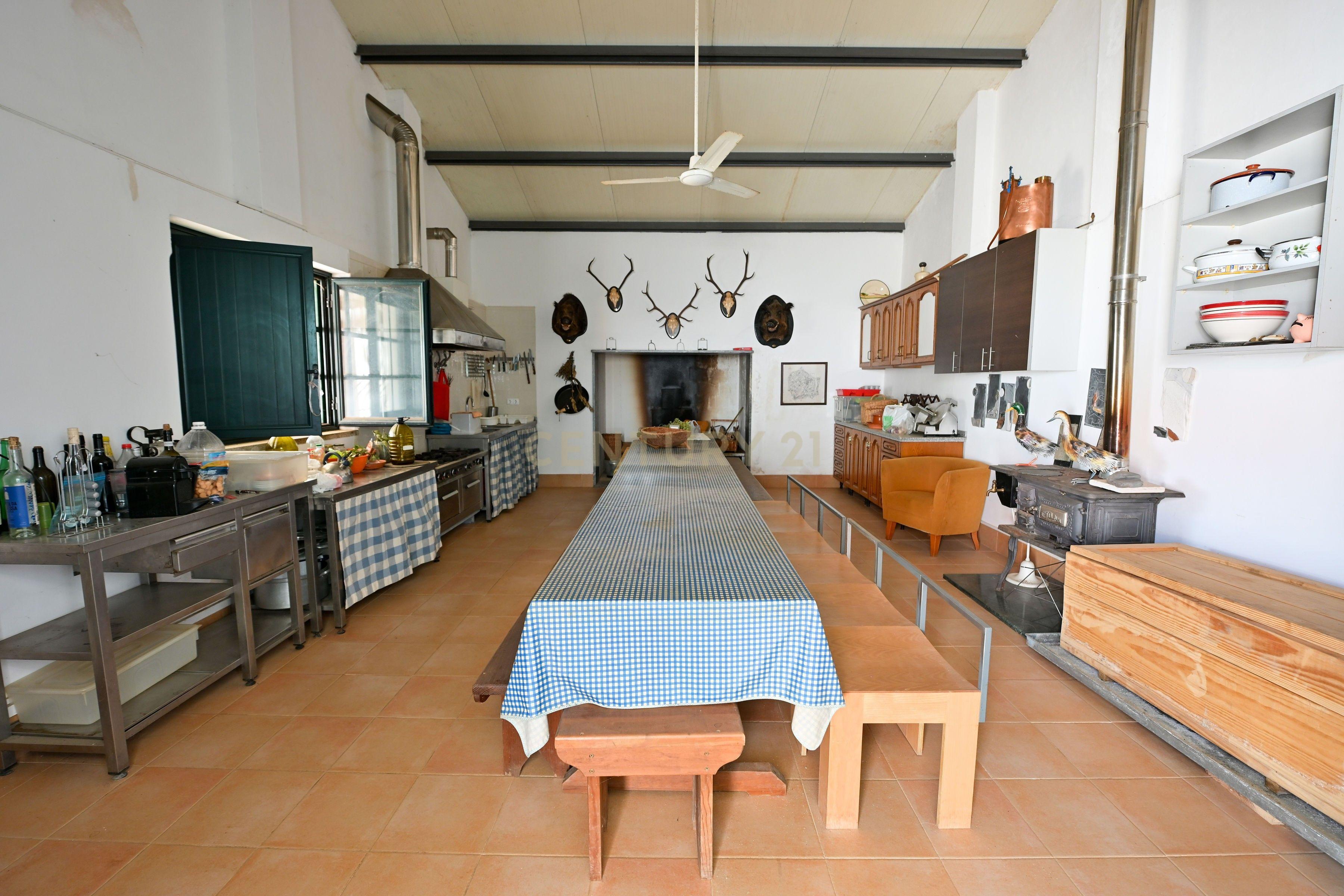 Fotografia 7 de Herdade de 62 Hectares no Coração do Alentejo – Évora  - Agricultura - Pecuária - Turismo Rural - Painéis Solares