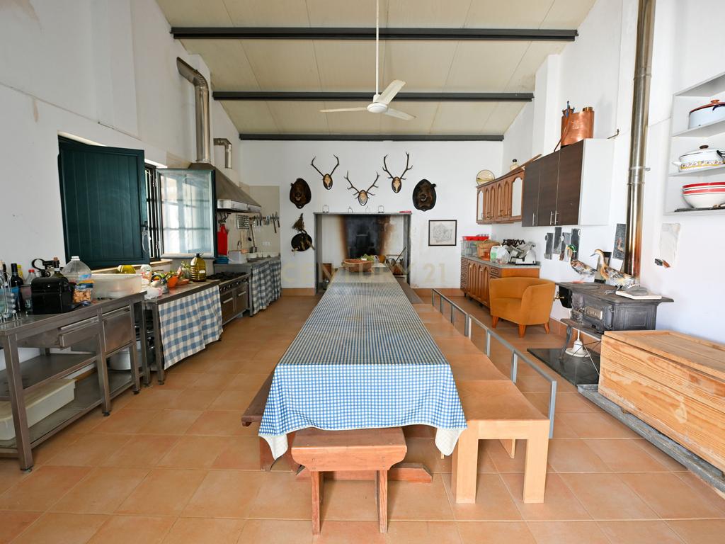 Herdade de 62 Hectares no Coração do Alentejo – Évora - Agricultura - Pecuária - Turismo Rural - Painéis Solares - Image 7