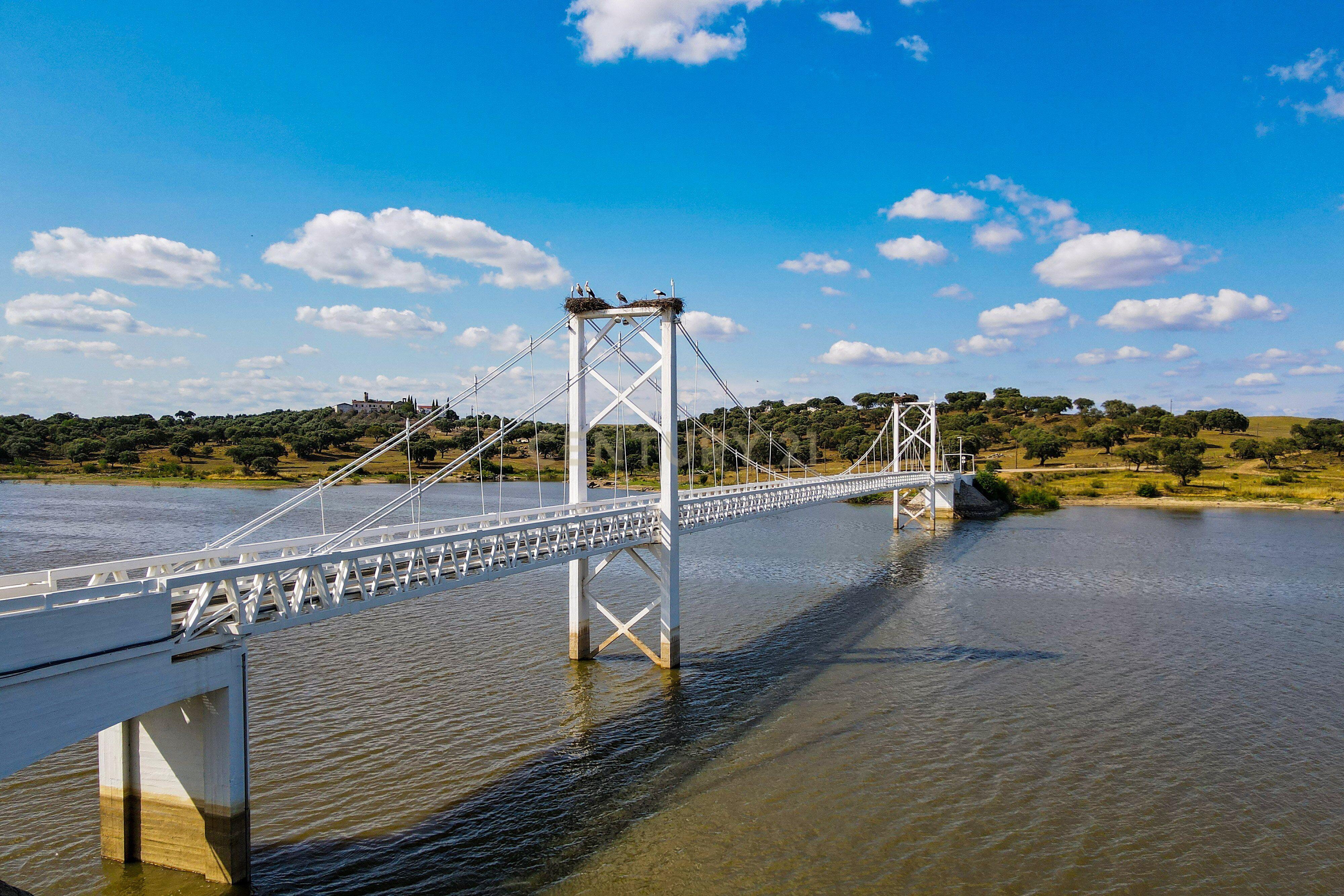 Quinta com Moradia típica a beira da barragem ... - Image 31