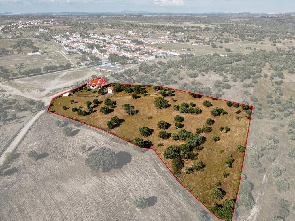 Quinta com Moradia típica  a beira da barragem ... - Image 36