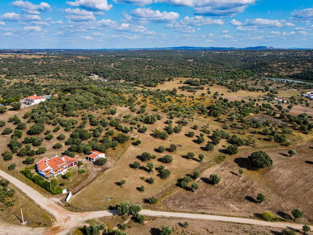 Quinta com Moradia típica  a beira da barragem ... - Image 46