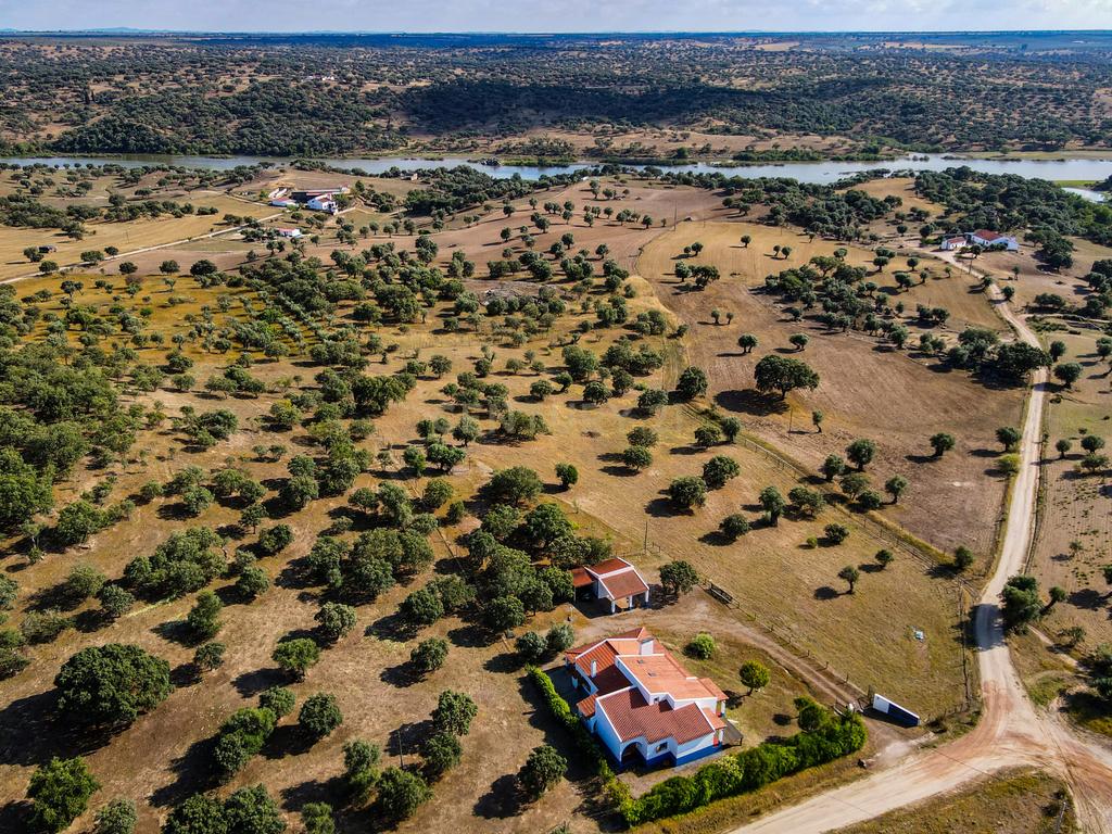 Quinta com Moradia típica  a beira da barragem ... - Image 34
