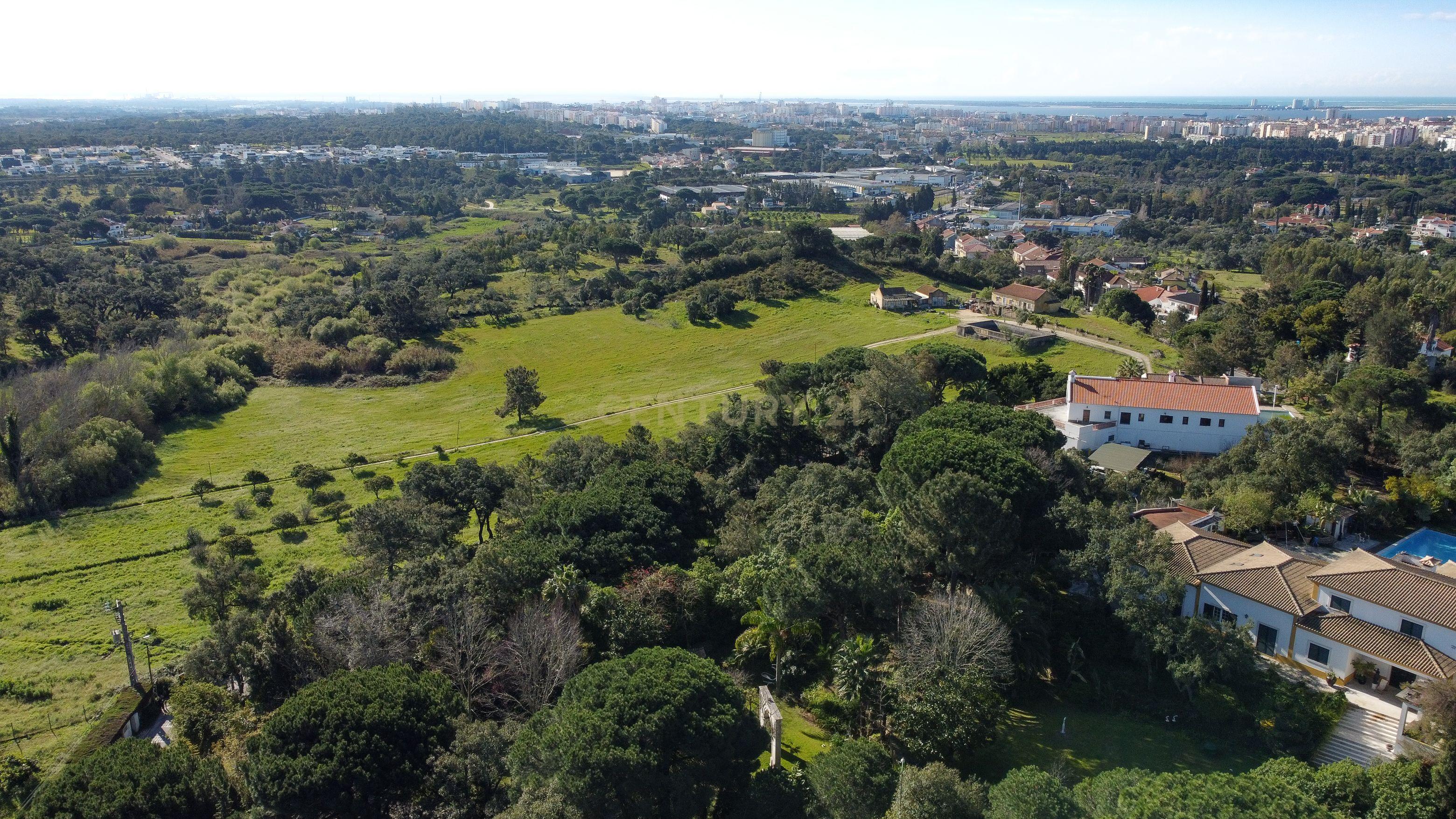 🏡 Terreno para Construção – 2.746 m² | Oportunidade Única Perto de Setúbal! 🌿 - Image 45