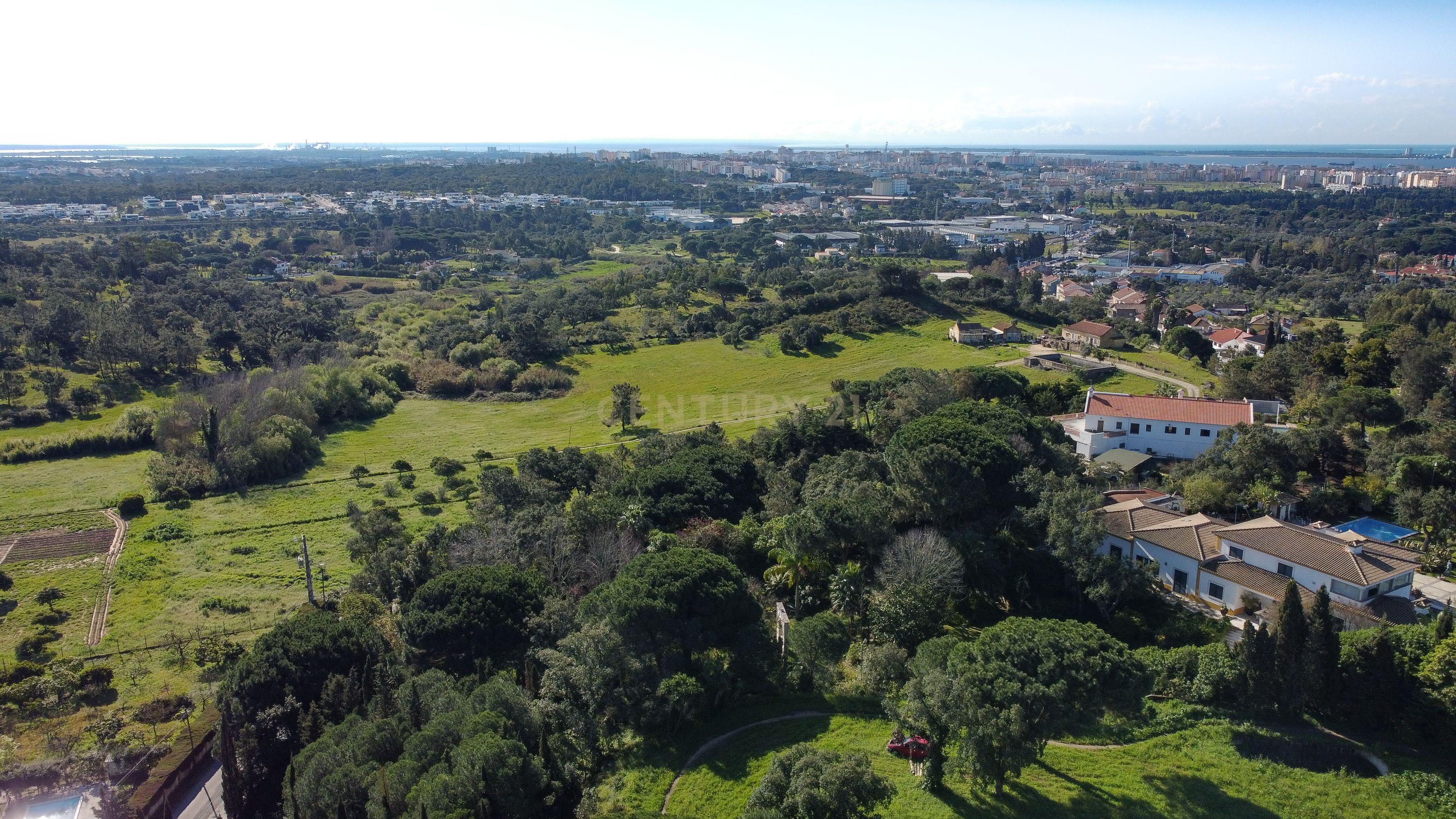 🏡 Terreno para Construção – 2.746 m² | Oportunidade Única Perto de Setúbal! 🌿 - Image 3