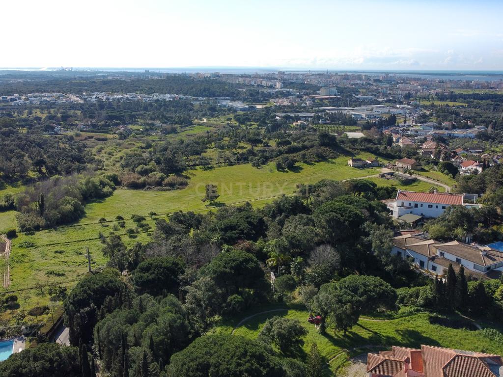 🏡 Terreno para Construção – 2.746 m² | Oportunidade Única Perto de Setúbal! 🌿 - Image 25