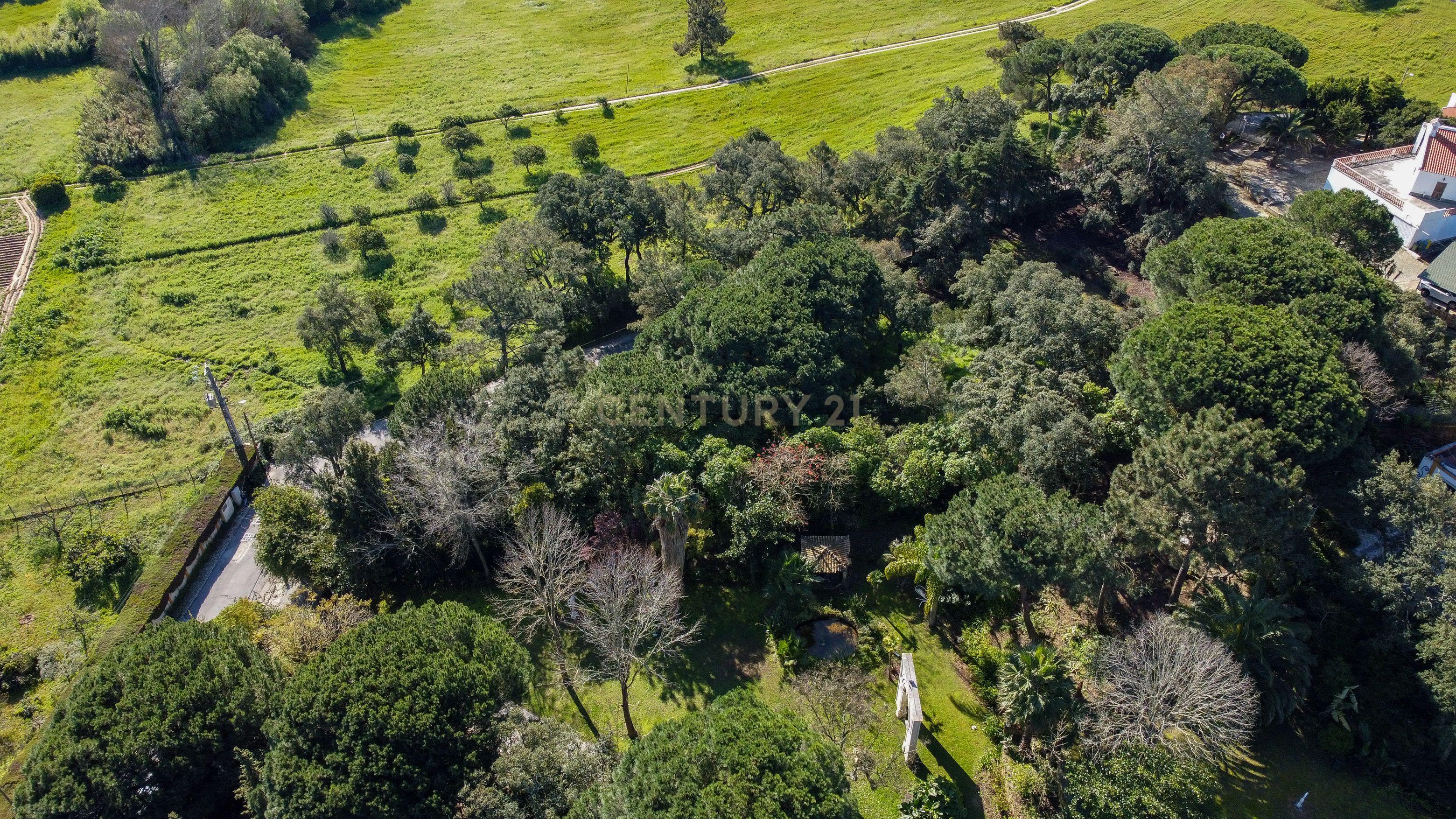 🏡 Terreno para Construção – 2.746 m² | Oportunidade Única Perto de Setúbal! 🌿 - Image 16