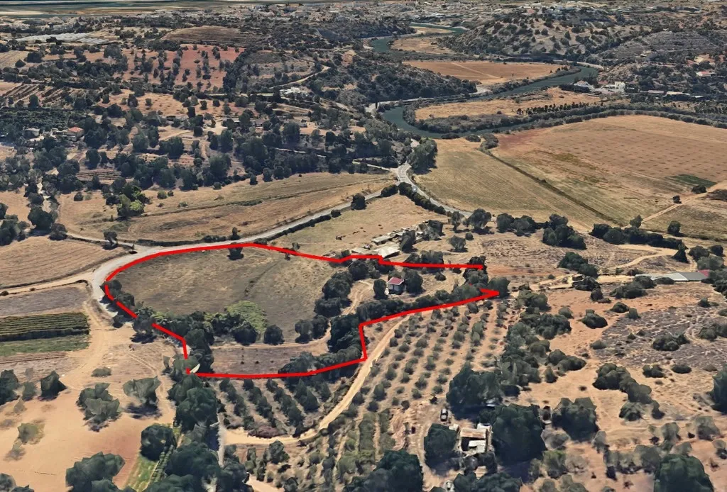 Propriedade Rústica com Ruína e Árvores de Fruto no Vale Formoso – Tavira - Image 2