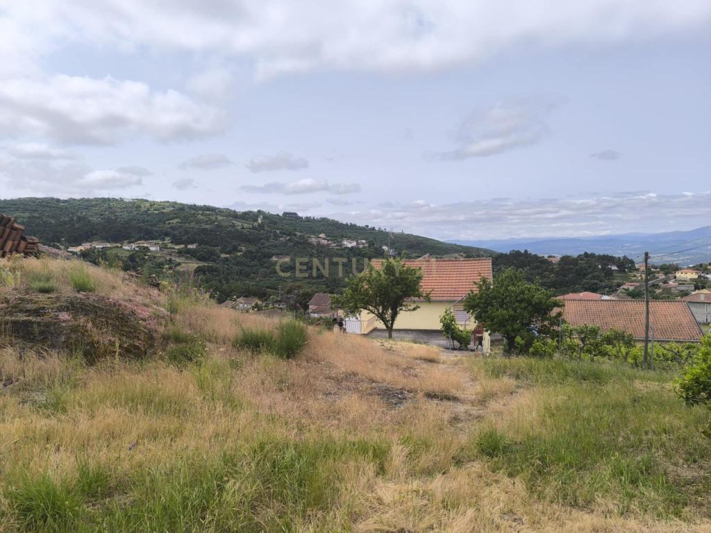 Casas prontas a habitar com terreno, arvores de fruto, forno e água própria. - Image 28