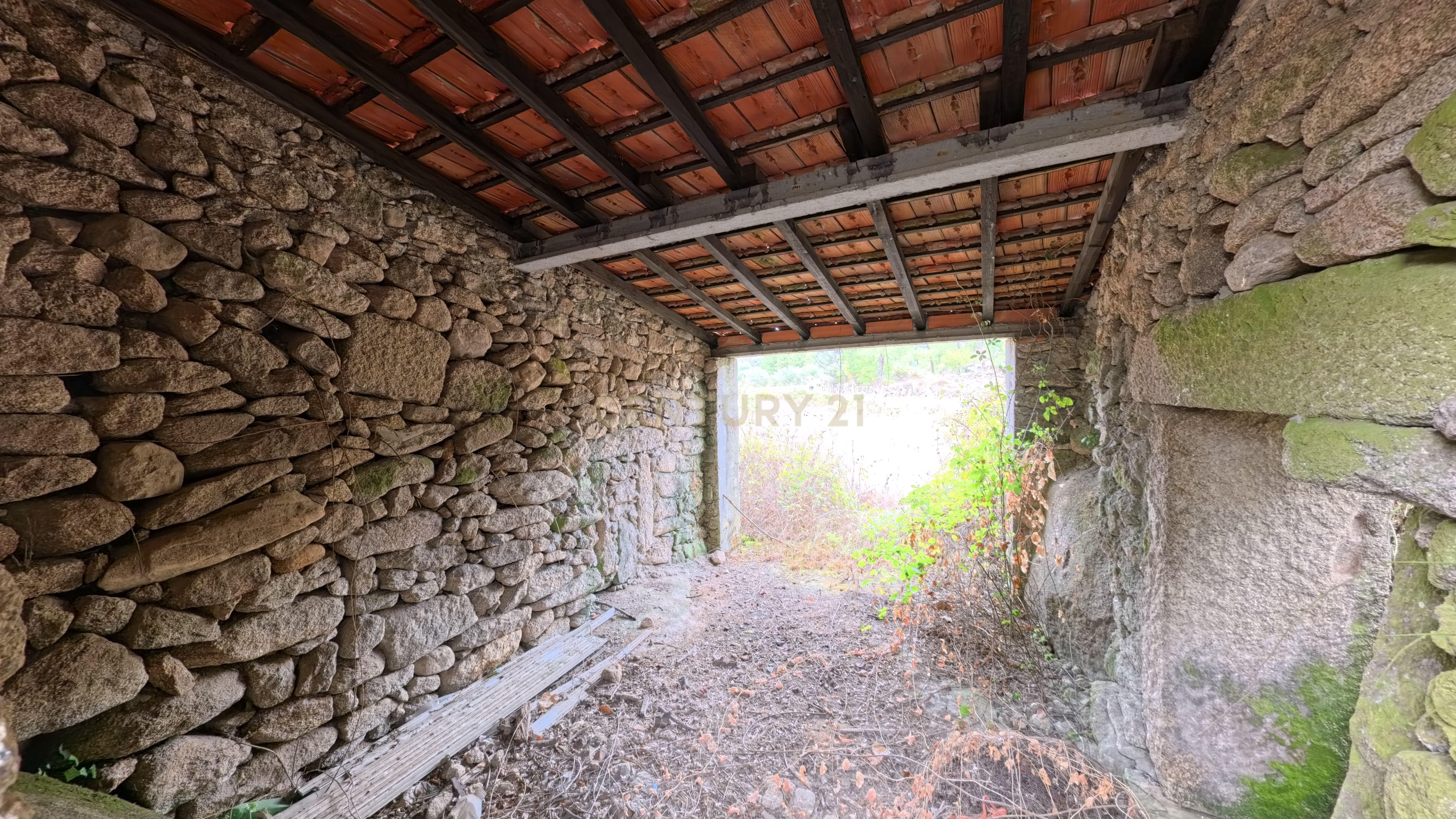 Fotografia 8 de Quinta com 37.000 m² e casa de pedra em Figueiró da Granja - Fornos de Algodres