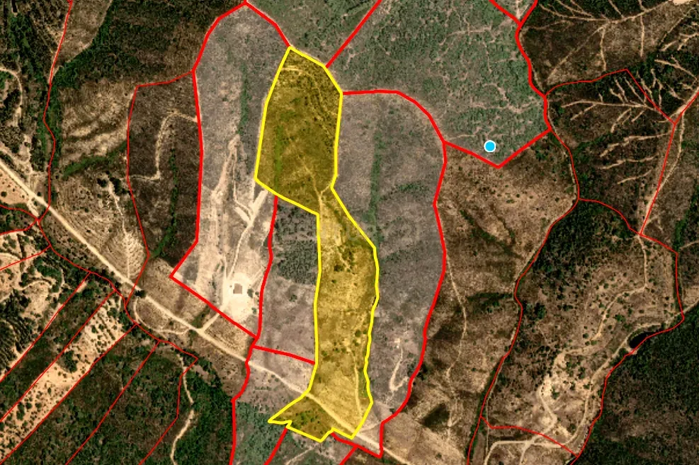 Herdade com 6 Ha com uma casa térrea - Image 16