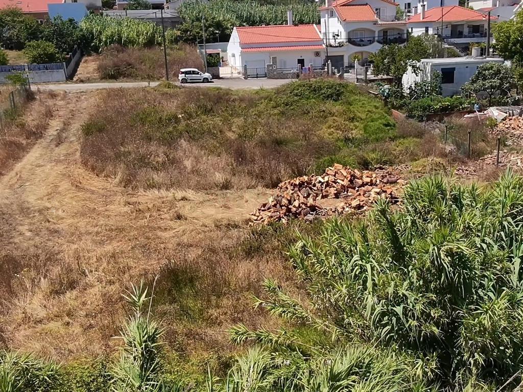 Terreno Rústico em Quinta da Oliva - Espaço Aberto e Vista Campestre - Image 3
