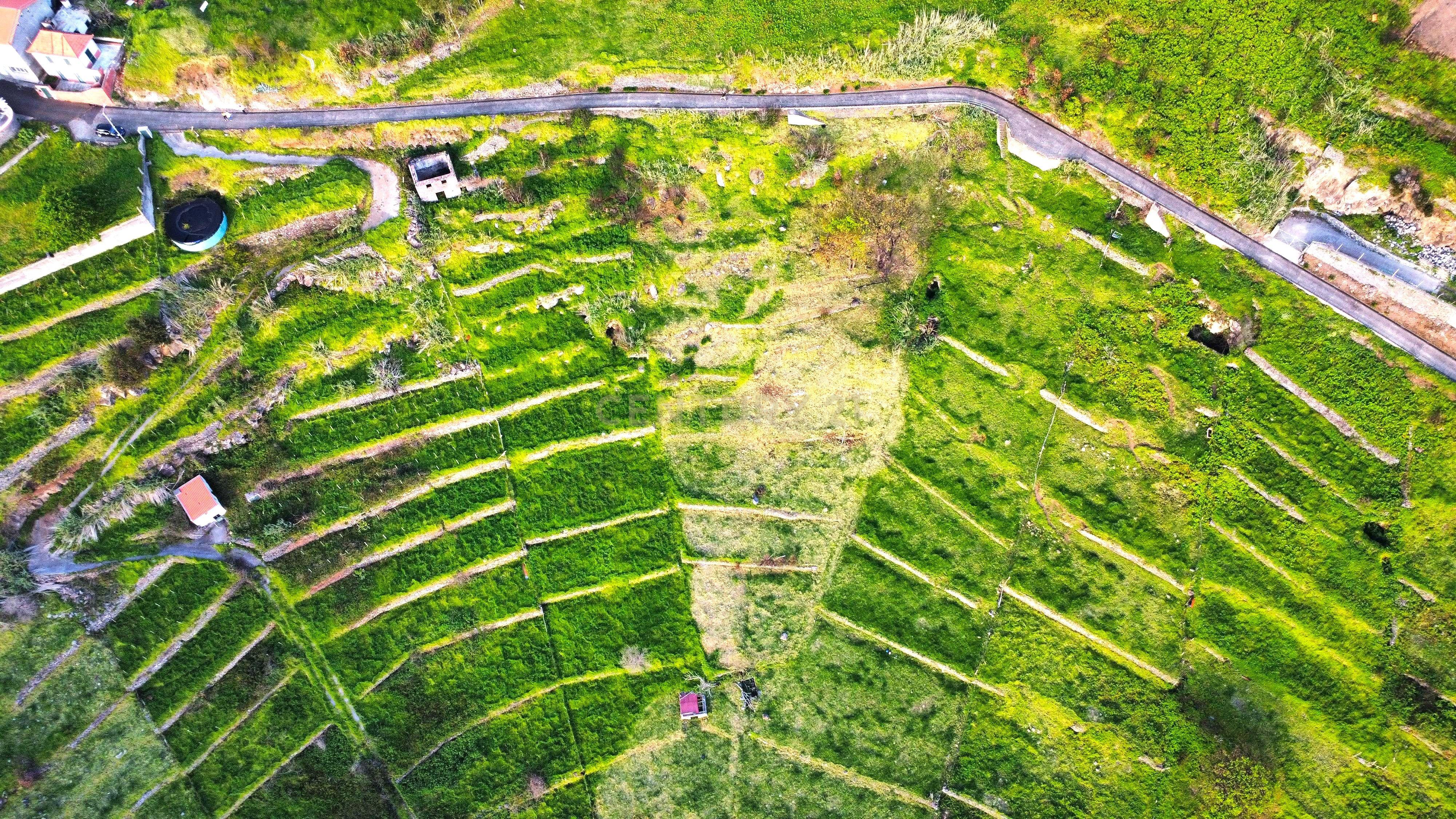 Terreno para Construção na Ponta do Pargo – 8.000 m² em Vale Privilegiado Próximo ao Novo Campo de Golfe - Image 6
