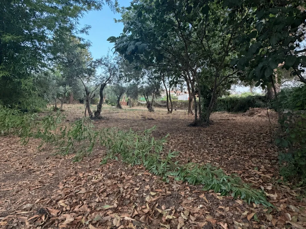 🌿 Um refúgio privado com piscina e quase 2 000 m² de natureza, a 5 minutos de Trujillo. - Image 48