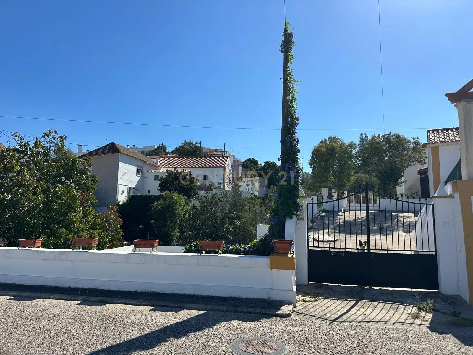 Moradia T5 à venda em Carregueira, Chamusca — foto 2