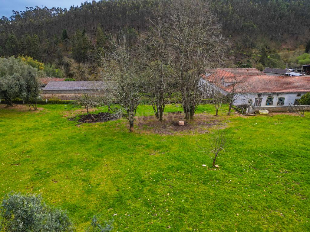 Quinta para Recuperação em Mortágua com 17 Divisões - Image 15