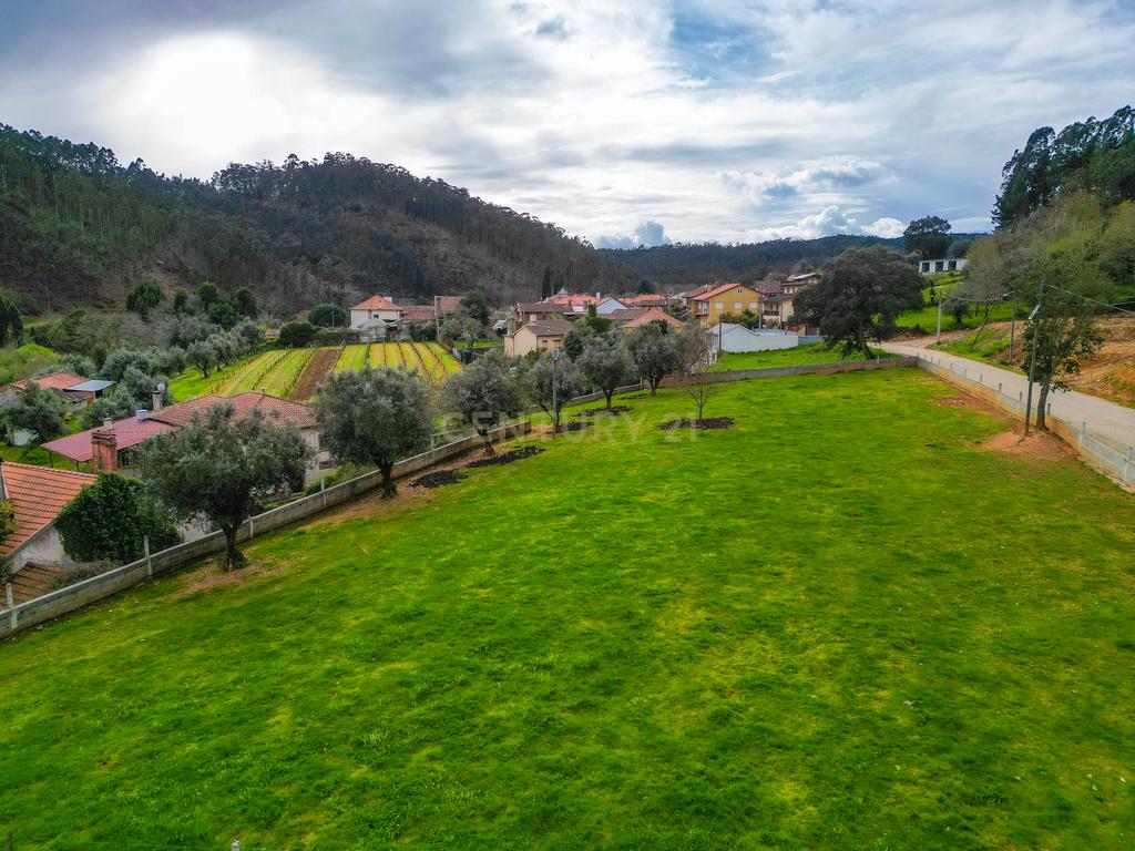 Quinta para Recuperação em Mortágua com 17 Divisões - Image 17