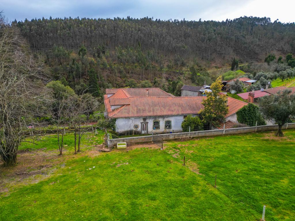 Quinta para Recuperação em Mortágua com 17 Divisões - Image 18