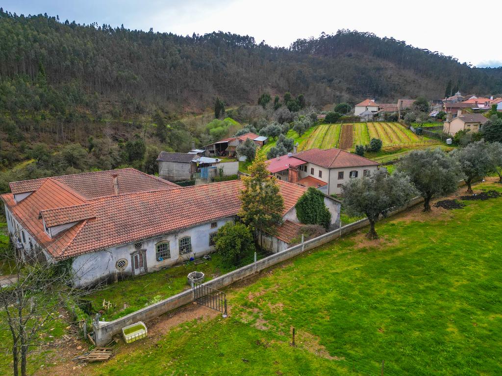Quinta para Recuperação em Mortágua com 17 Divisões - Image 20