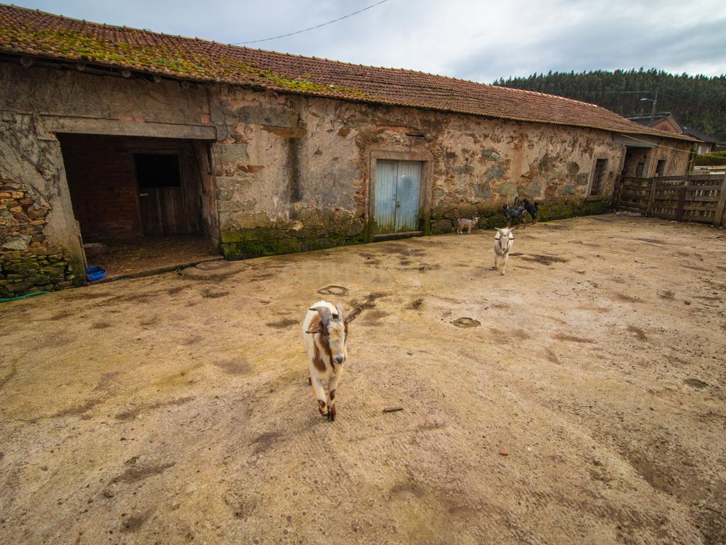 Quinta para Recuperação em Mortágua com 17 Divisões - Image 45