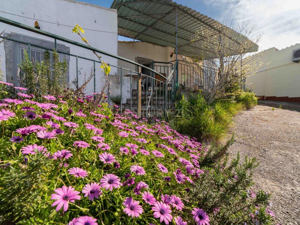 Moradia Térrea T3 com Fachada Tradicional para Venda em Sitio do Peral São Brás de Alportel - Image 25