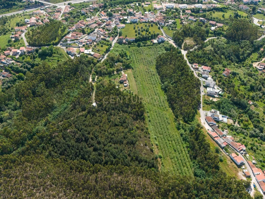 Quinta com 8 hectares com potencial para construção – Antanhol - Coimbra - Image 16