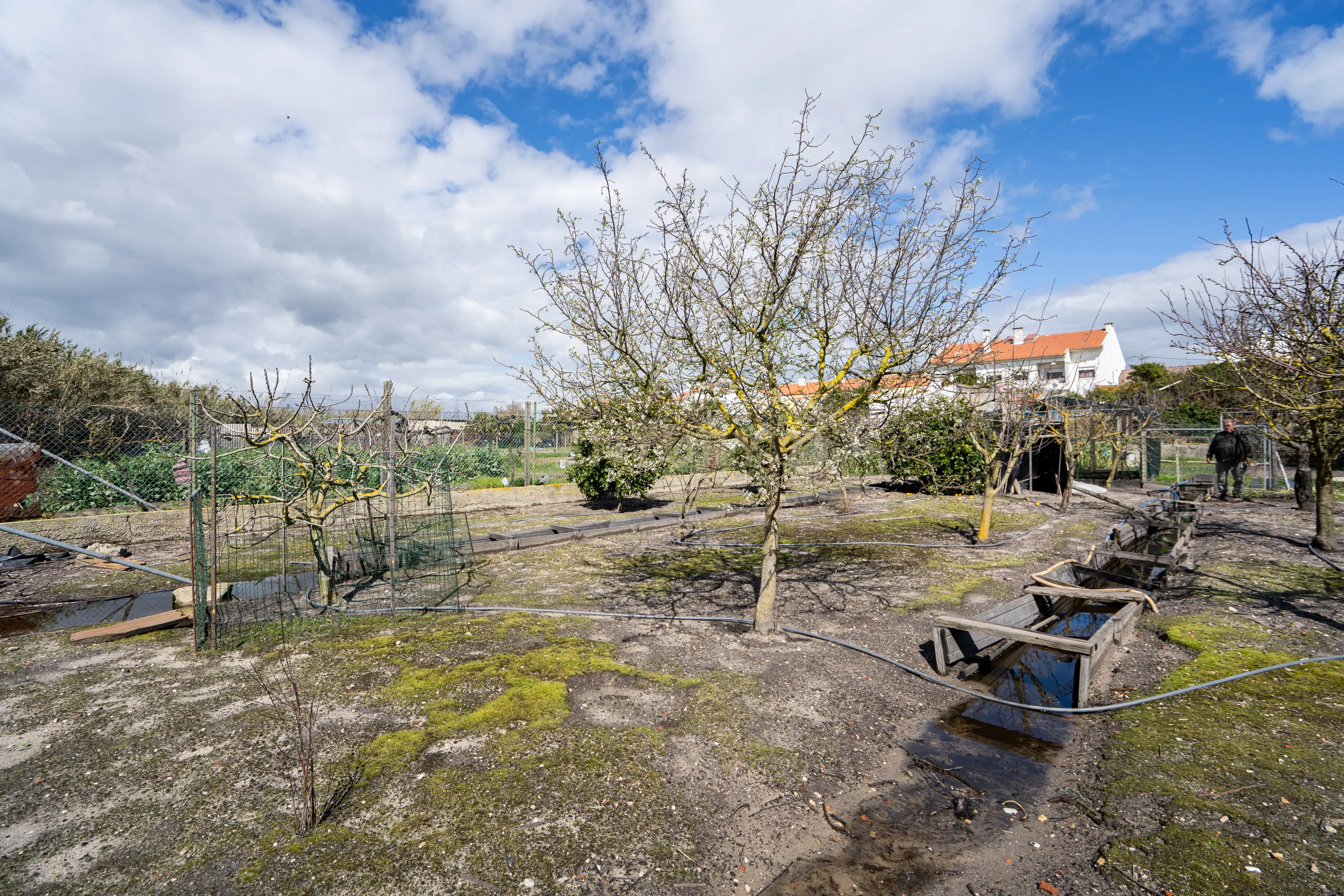 Moradia T3 em Alhos vedros / Moita com terreno de 1320m² - Image 55