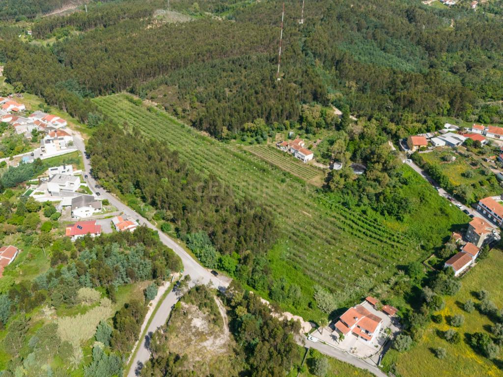 Quinta com 8 hectares com potencial para construção – Antanhol - Coimbra - Image 9