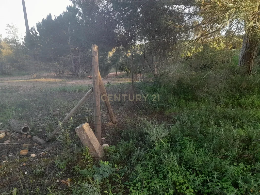 Terreno Zona Calma - Image 12