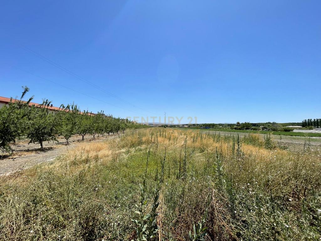 TERRENO DE REGADÍO CON SECADERO, JUNTO AL NÚCLEO URBANO DE FTE. VAQUEROS - Image 4