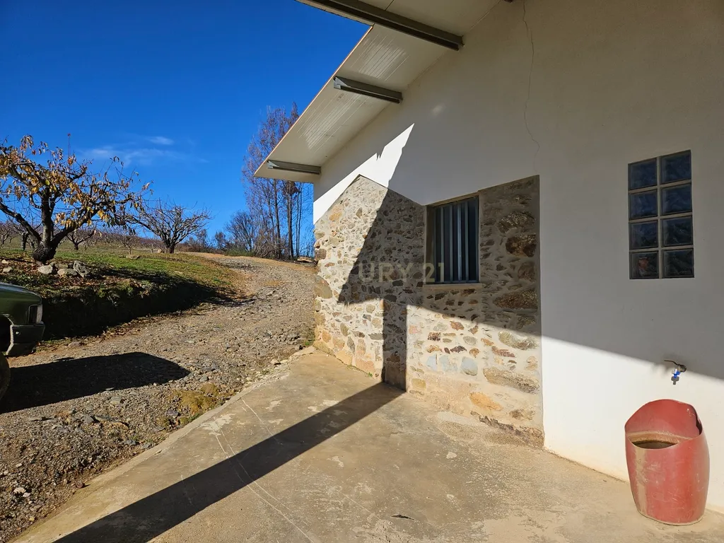 Quinta de Excelência Agrícola na Região Premium do Fundão: 32 ha de Alta Produtividade - Image 12