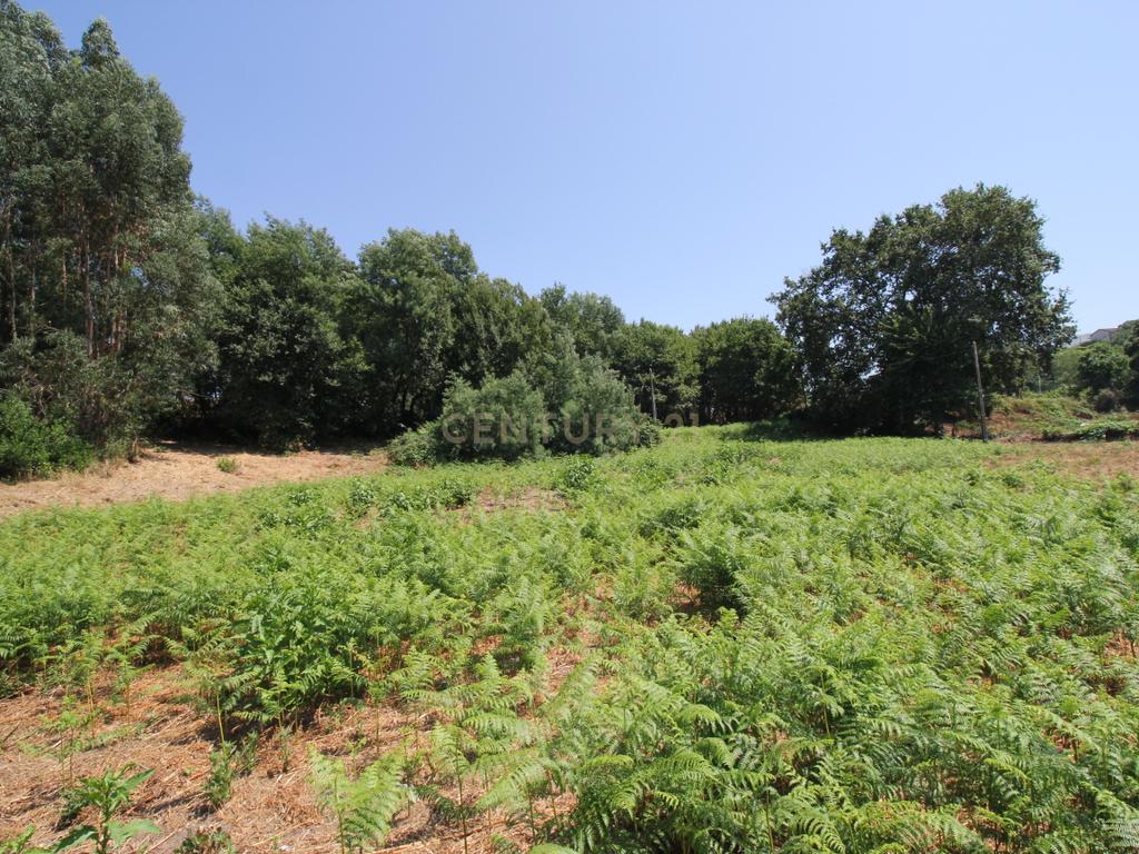 Terreno em Galegos - Penafiel - Image 10