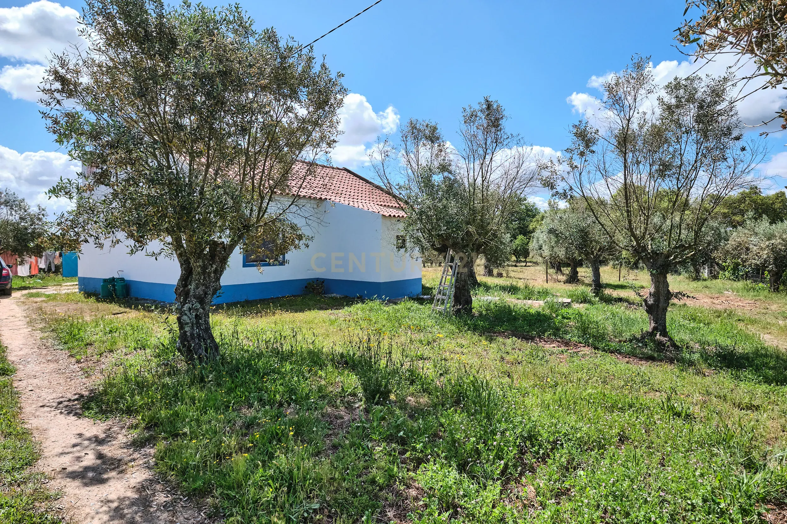Viva o autêntico Alentejo – Seu refúgio em Ermidas do Sado - Cova do Gato espera por si - Image 2