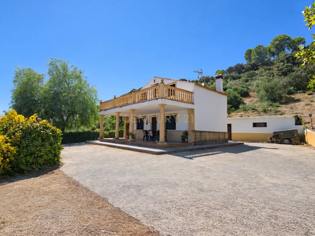 Quinta com vistas panorâmicas em Ronda, piscina privada, olival em produção e casa andaluza · Ideal para investimento em turismo rural - Image 3