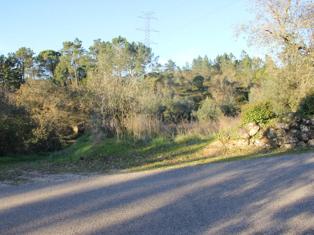Fantástico terreno para moradia - Image 1