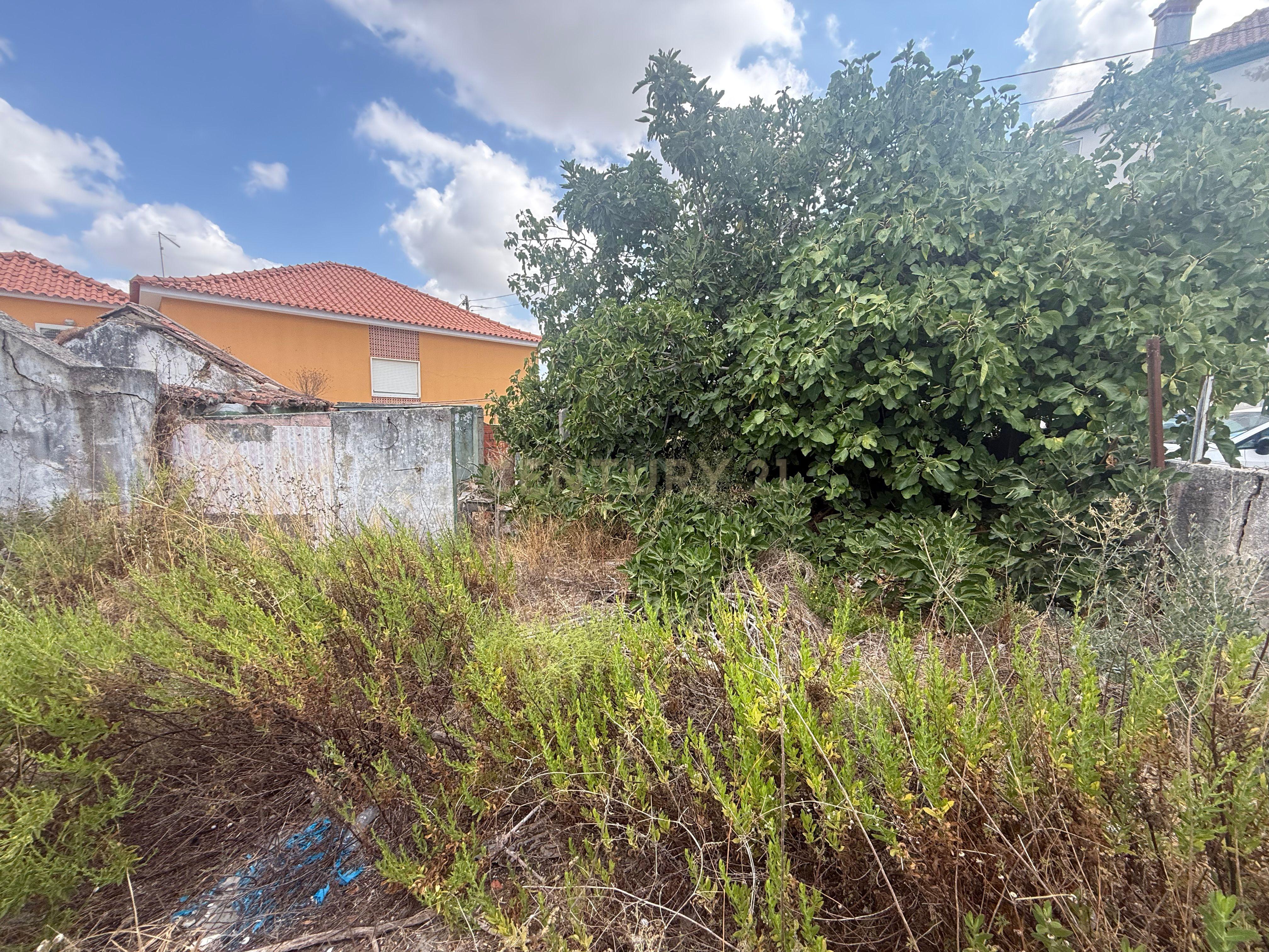 Fotografia 5 de Terreno com ruína em Quinta do Anjo, Palmela - Oportunidade Única