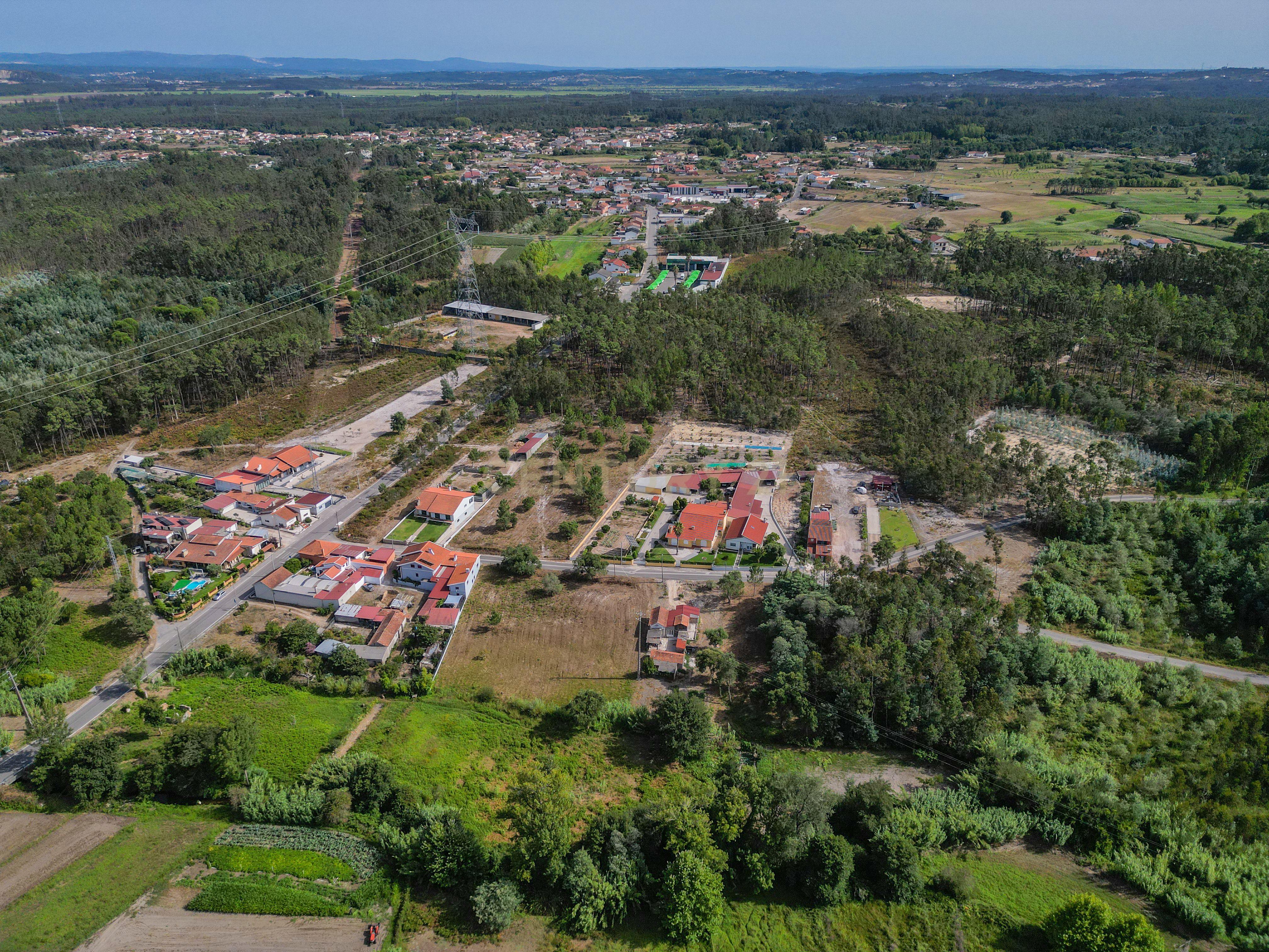 Fotografia 11 de Terreno com cerca de 2.700 m² em Casal dos Chouriços, Moinhos da Gândara, Figueira da Foz.