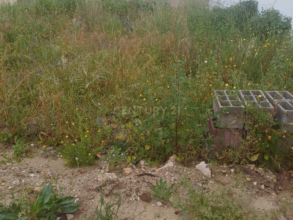 Terreno em Avos a ser convertido em m2 - Fernão Ferro - Image 6