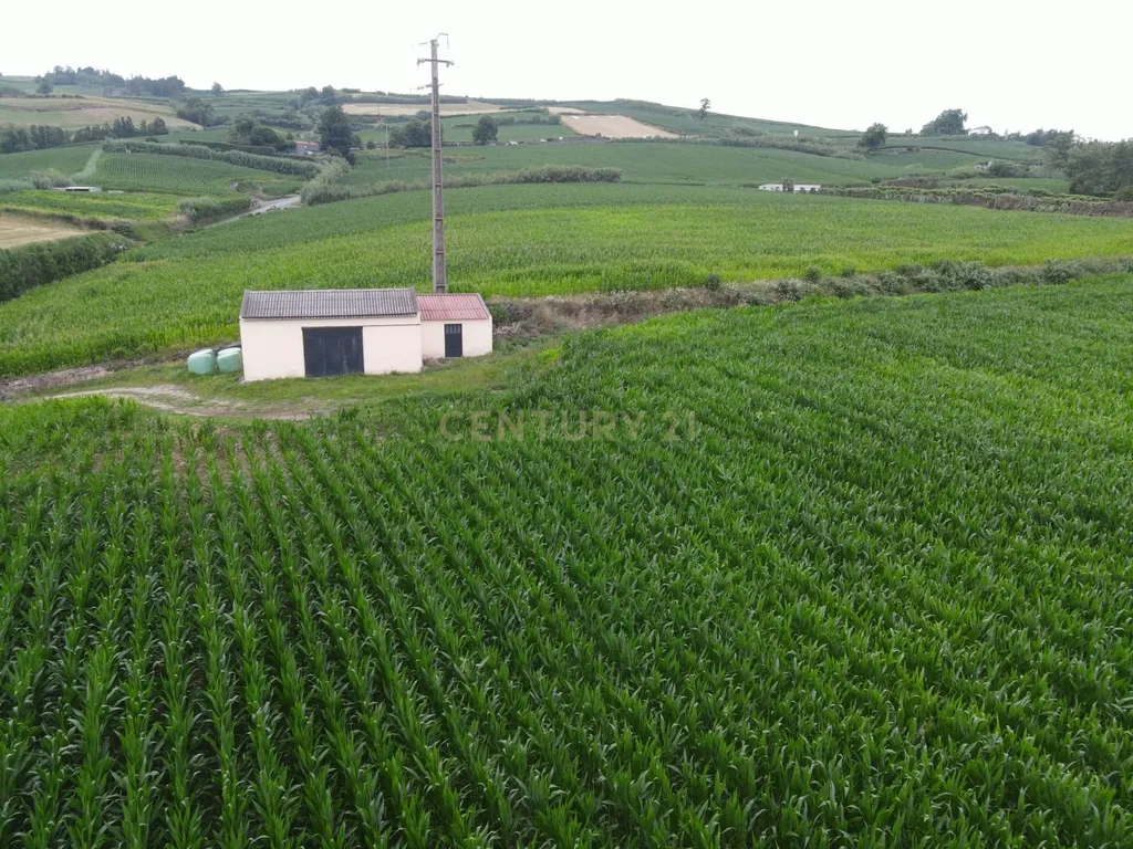Terreno Agrícola com Armazém e Vista Mar — Um Refúgio Natural na Ribeira das Tainhas!  - Image 4